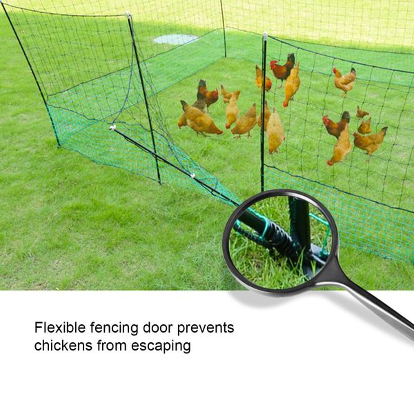 50mx1.25m portable chicken fencing backyard net set in various shape for rooster hen duck geese