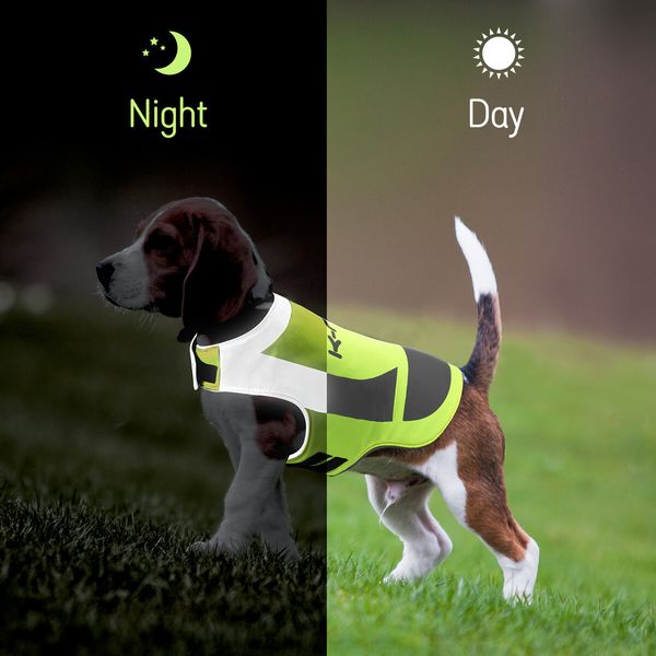 AFP Dog Reflective Jacket Pet Cat Vest Safety Harness Waterproof Outdoor Walking Clothes