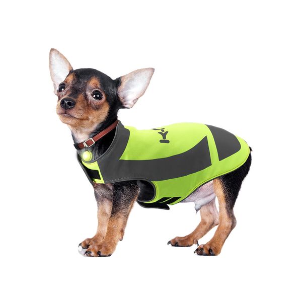 AFP Dog Reflective Jacket Pet Cat Vest Safety Harness Waterproof Outdoor Walking Clothes