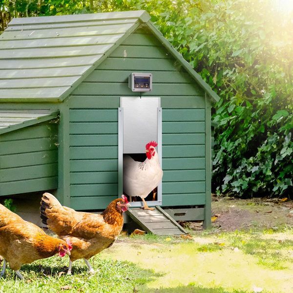 Safe Automatic Chicken Coop Door Opener Closer Working W/Timer Or Light Sensor, Get Rid Of Raccoons