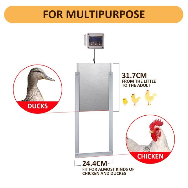 Safe Automatic Chicken Coop Door Opener Closer Working W/Timer Or Light Sensor, Get Rid Of Raccoons