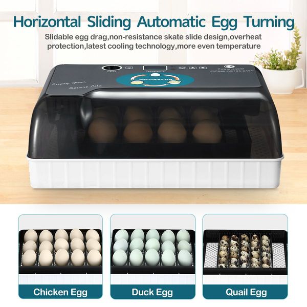 High Sucess Rate 12-35 Eggs Automatic Incubator Digital Hatcher For Duck Goose Pigeon Quail