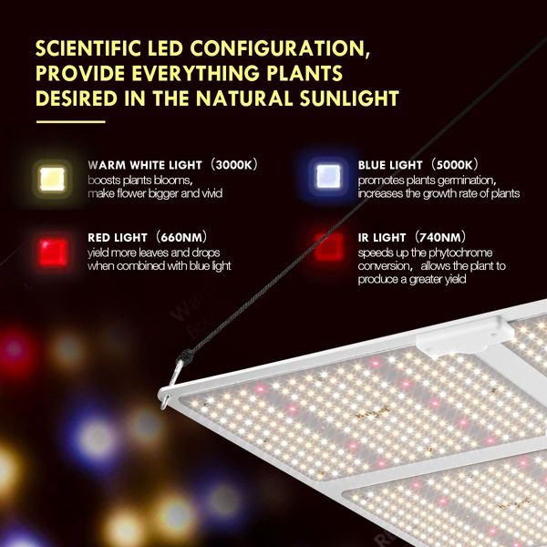 4000W Indoor Full Spectrum Dimmer Adjustable Led Plant Grow Light W/Samsung Lm301B For Higher Yield