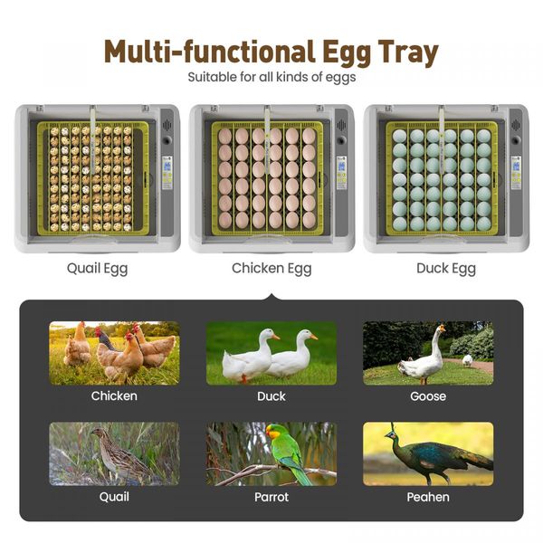 High Sucess Rate 36-120 Eggs Automatic Incubator Digital Hatcher For Duck Goose Pigeon Quail