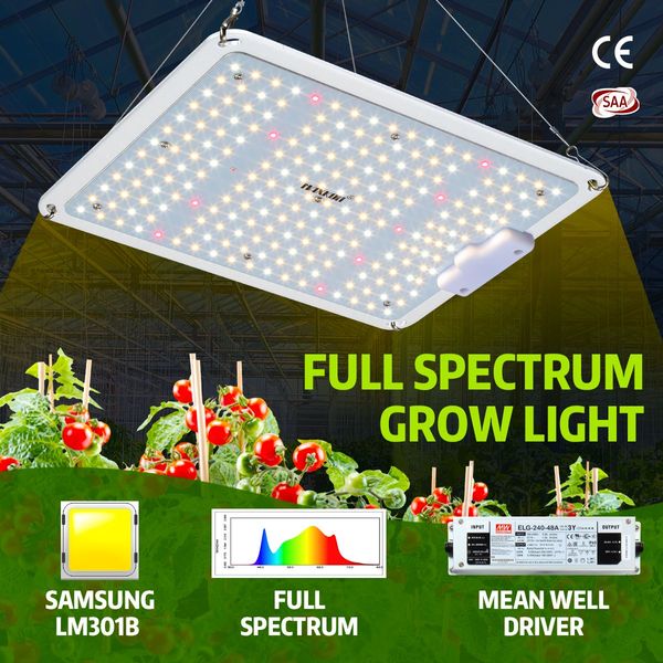1000W Indoor Full Spectrum 218 Led Plant Grow Light W/Samsung Lm301B Diodes For Higher Yields