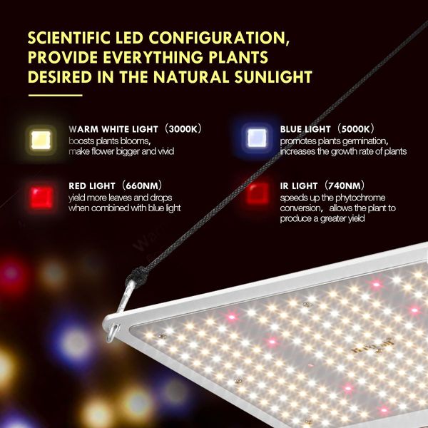 2000W Indoor Full Spectrum 436 Led Plant Grow Light W/Samsung Lm301B Diodes For Higher Yields