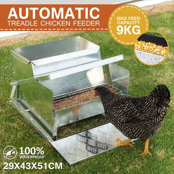 Rat Bird Proof 9Kg Food Auto Treadle Chicken Duck Poultry Feeder W/ Anti-Flick Grill