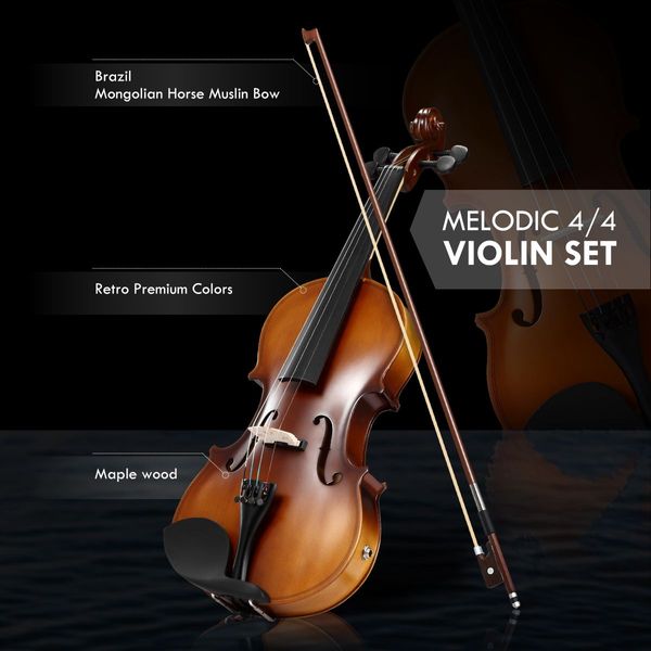 Natural 4/4 Full Size Electric Violin W/ Carrying Cas