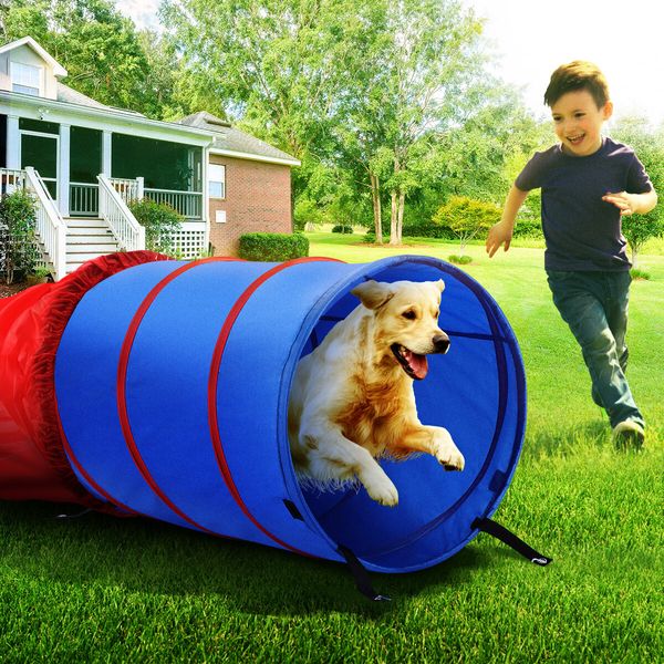 Pet Dog Tunnel Puppy Agility Equipment Interactive Toys Exercise Training with Carrying Case 