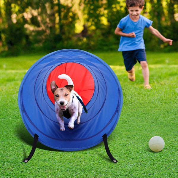 Pet Dog Tunnel Puppy Agility Equipment Interactive Toys Exercise Training with Carrying Case 