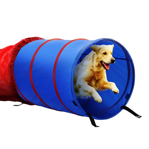 Pet Dog Tunnel Puppy Agility Equipment Interactive Toys Exercise Training with Carrying Case 