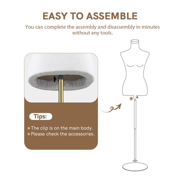 Female Mannequin Torso Display Stand Manikin Dress Form Dressmakers Sewing Fashion Tripod Base 133-180CM White