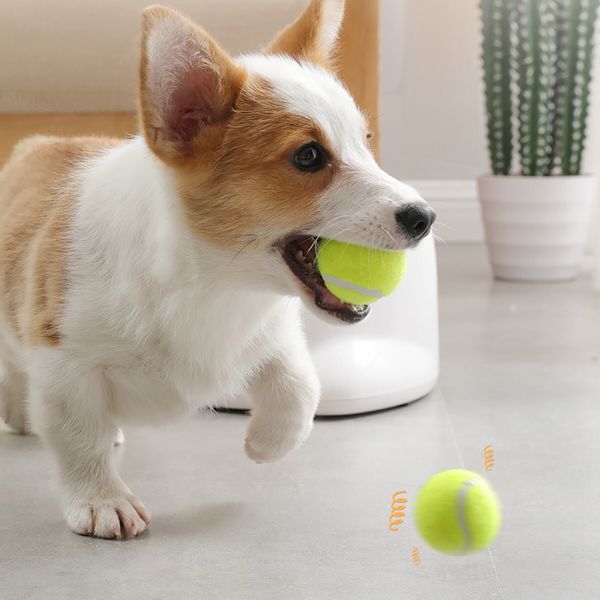 AFP Dog Ball Launcher Thrower Automatic Tennis Fetch Throwing Machine Adjustable Distance with 3 Balls