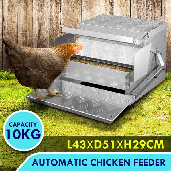 Rat Proof 10Kg Capacity Durable Auto Chicken Feeder Galvanised Steel W/Anti Waste Grid