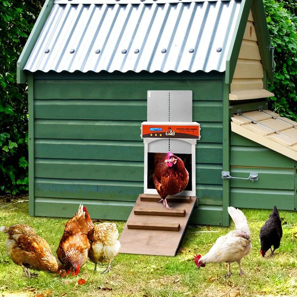 Timer/Light Sensor Automatic Chicken Coop Opener Safe Closer Prevent Predators Fox Raccoon