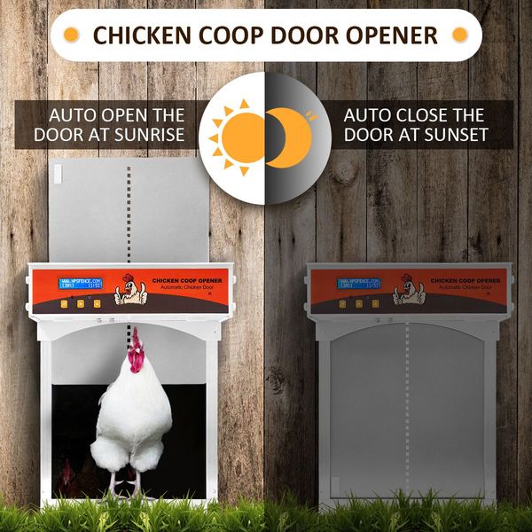 Timer/Light Sensor Automatic Chicken Coop Opener Safe Closer Prevent Predators Fox Raccoon