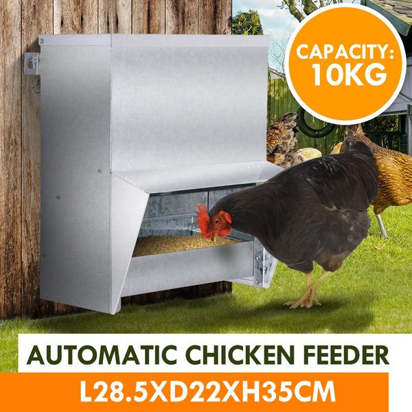 Wild Birds Proof 15Kg Capacity Auto Chicken Feeder Galvanised Steel Wall Mounted Keep Food Safe&Dry