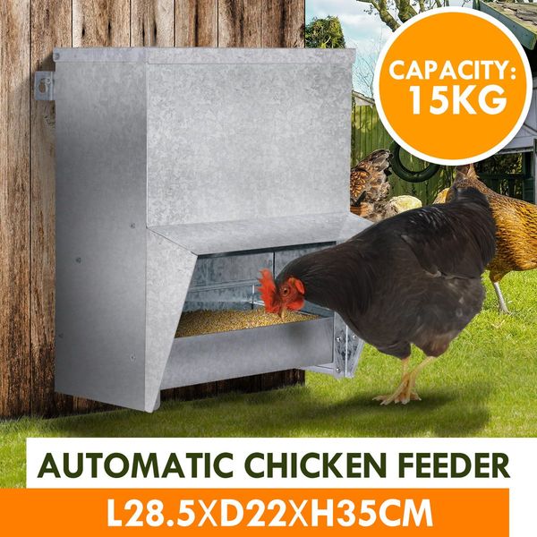 Wild Birds Proof 15Kg Capacity Auto Chicken Feeder Galvanised Steel Wall Mounted Keep Food Safe&Dry