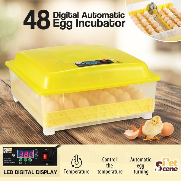 High Success Rate 48 Auto Egg Incubator Auto Turn Egg&Adjust Temp/Humidity For Chickens,Ducks,Goose