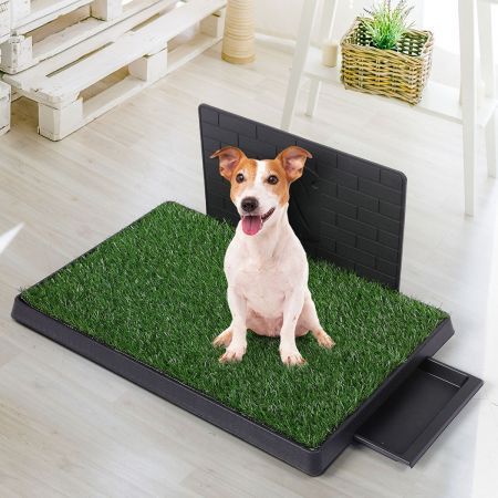 Indoor Dog Pet Grass Potty Training L