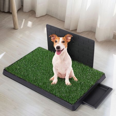 Indoor Dog Pet Grass Potty Training L