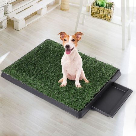 Indoor Dog Pet Grass Potty Training