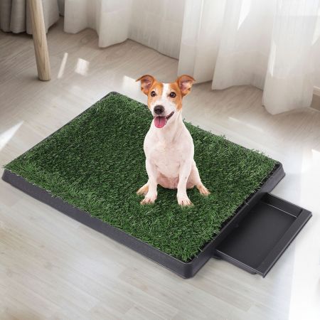 Indoor Dog Pet Grass Potty Training