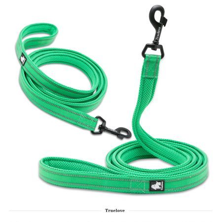 Reflective Pet Leash 2 meters Green L