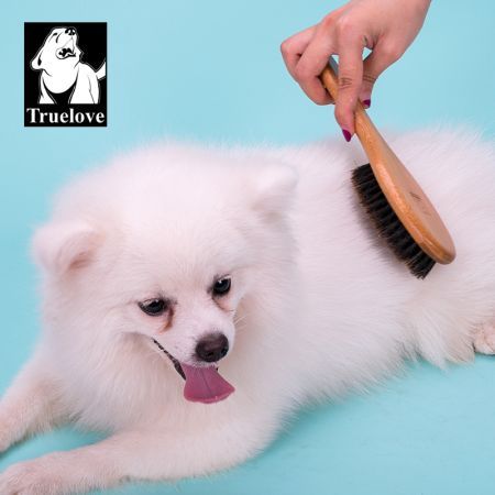 True Love Bamboo General Brush GENERAL BRUSH