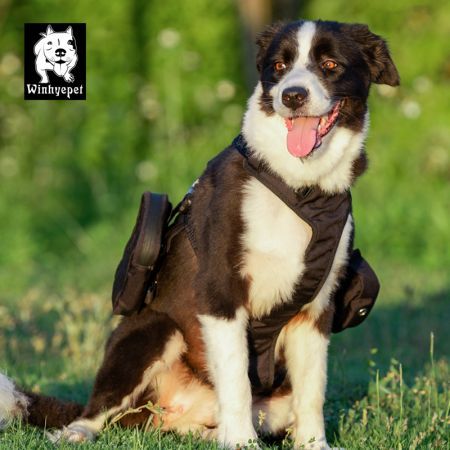 Whinhyepet Military Harness Black M