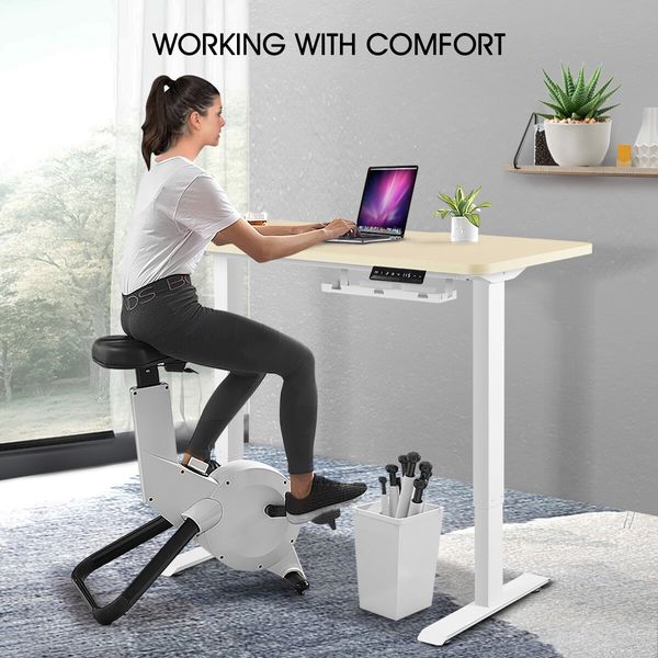 Electric Standing Desk Height Adjustable Sit Stand Office Computer Table Furniture Motorized Dual Motor Nature