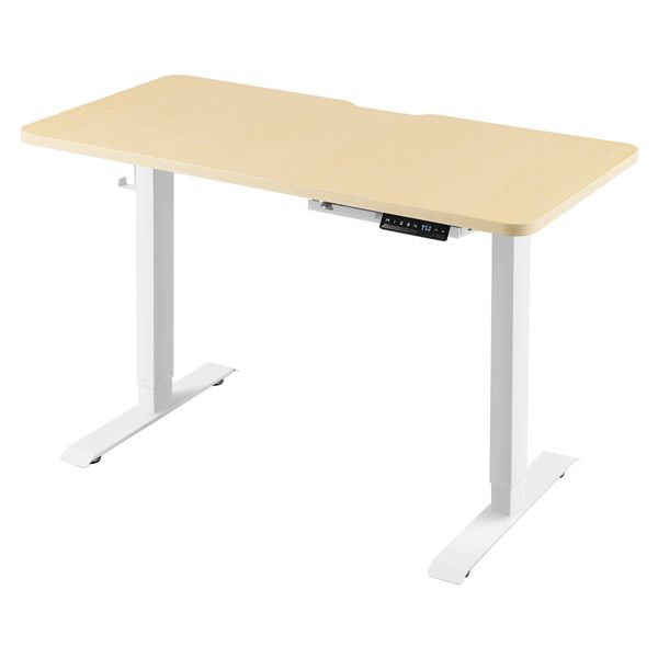 Electric Standing Desk Height Adjustable Sit Stand Office Computer Table Furniture Motorized Dual Motor Nature