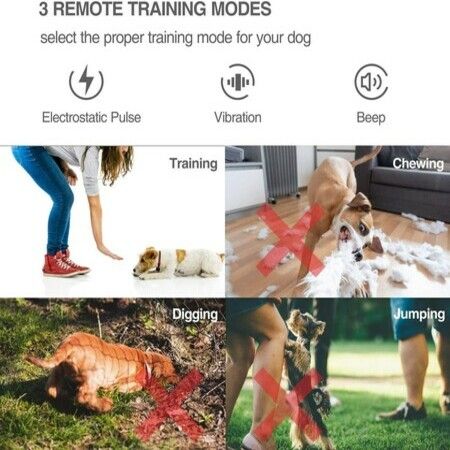 Dog Training Collar 2 in 1 Anti-Bark Collar - Rechargeable Dog Shock Collar w/3 Training Modes, 100% Waterproof