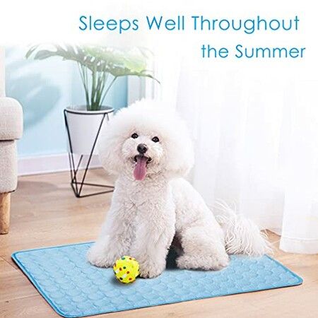 SizeXL 100x70cm Pet Cooling Mat for Dog Puppy Cat Washable Cooling Pad Under 40KG