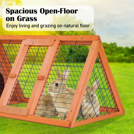 Rabbit Hutch Ester Triangular Wooden Chicken Guinea Pig Cage