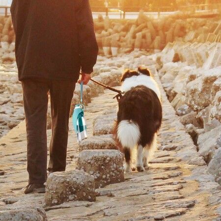 Dog Water Bottle for Walking Feeder Container portable with Drinking Cup Bowl Col.Blue