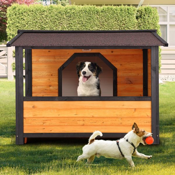 Petscene XXL Dog Kennel Fir Wooden Pet House with Porch Roof Door Window Curtain Raised Floor