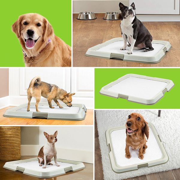 Pet Dog Pee Pad Holder Indoor Puppy Potty Training Tray Portable Trainer 60x60cm