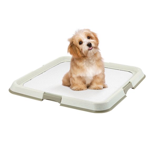 Pet Dog Pee Pad Holder Indoor Puppy Potty Training Tray Portable Trainer 60x60cm