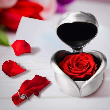 Eternal Rose, Preserved Roses, Never Wilted Flower, Valentine's Day Wedding Anniversary (Red Rose)