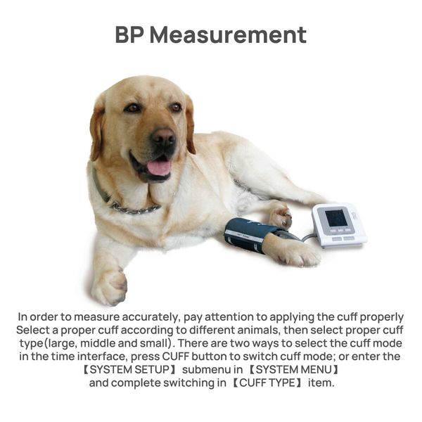 Veterinary Blood Pressure Monitor Dog/Cat/Pet Lamb Horse Electronic Sphygmomanometer With Software FDA cert.