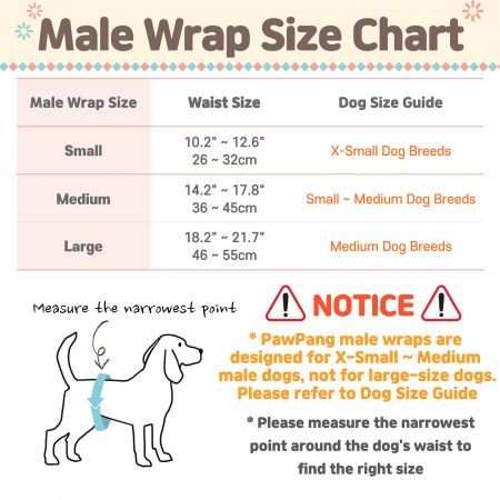 Dog Wrap Resuable Male S + 10X Diaper Booster Pads Disposable S