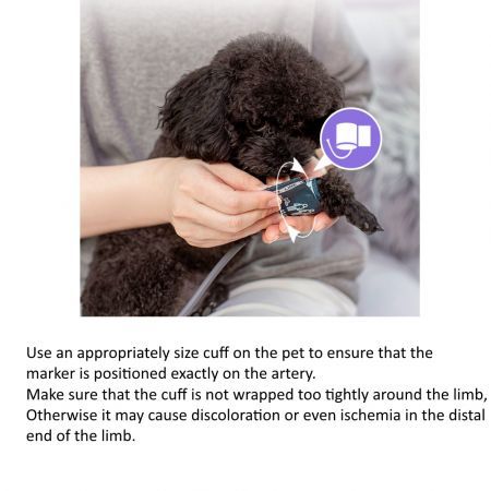 Veterinary Blood Pressure Monitor Dog/Cat/Pet Lamb Horse Electronic Sphygmomanometer With Software FDA cert.