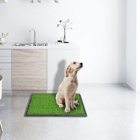 Indoor Dog Potty Toilet Grass Tray Pads Training Puppy Medium Mat