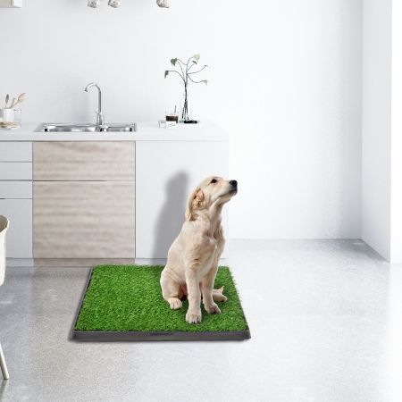 Artificial Grass Dog Pee Pad Potty - Artificial Grass Patch for Dogs - Pet Litter Box