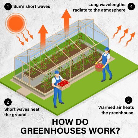 Garden Greenhouse Walk-In Shed 400cm PE Dome Tunnel