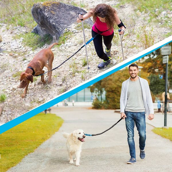 Hands Free Dog Leash for Medium and Large Dogs Training, Walking, Jogging and Running Your Pet