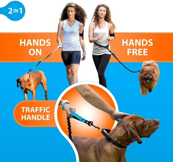 Hands Free Dog Leash for Medium and Large Dogs Training, Walking, Jogging and Running Your Pet