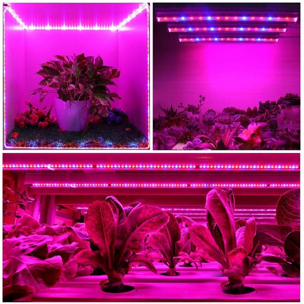 2 Strips Grow Light Four Heads Growing lamp Full Spectrum Dimmable Levels Led  Plant Lamp with Red Blue Lights