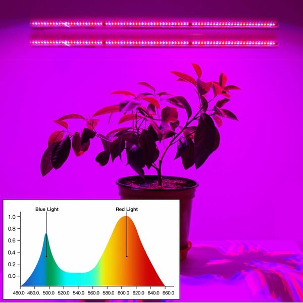 2 Strips Grow Light Four Heads Growing lamp Full Spectrum Dimmable Levels Led  Plant Lamp with Red Blue Lights